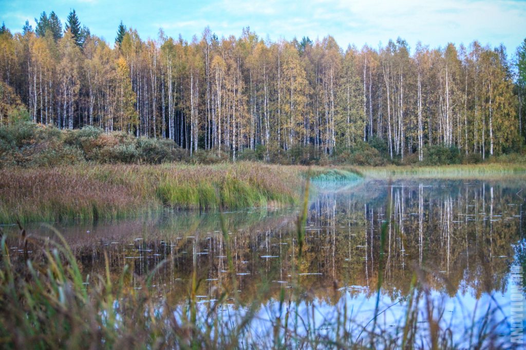 Озеро Липаслампи в Финляндии