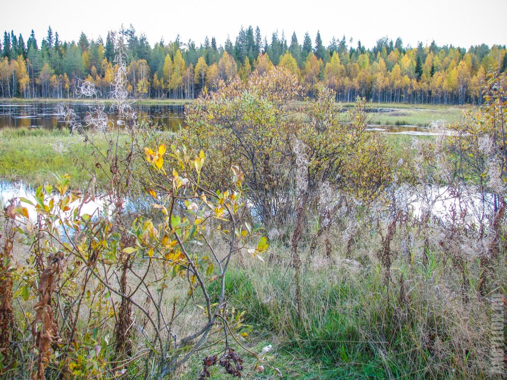 Осенняя Финляндия