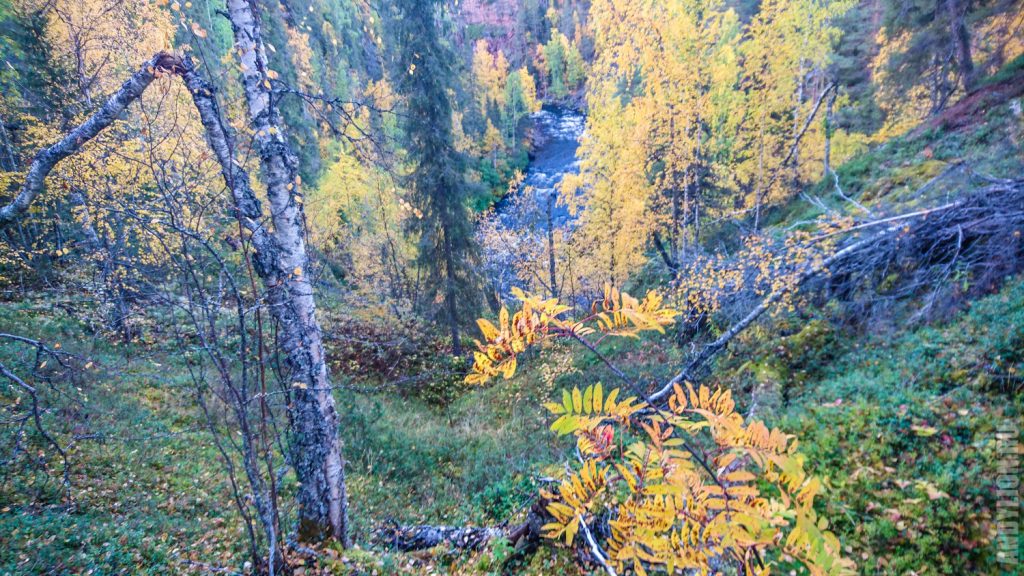 Осень в национальном парке Оуланка