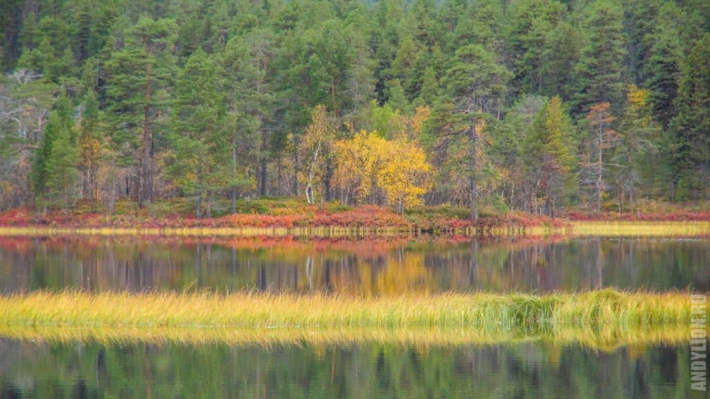 Озеро Юураккоярви в парке Лемменйоки