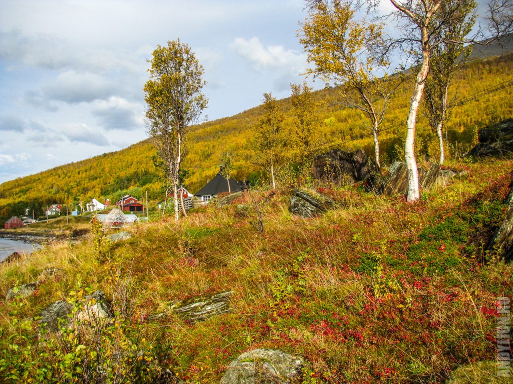Осеннией пейзажии Норвегии