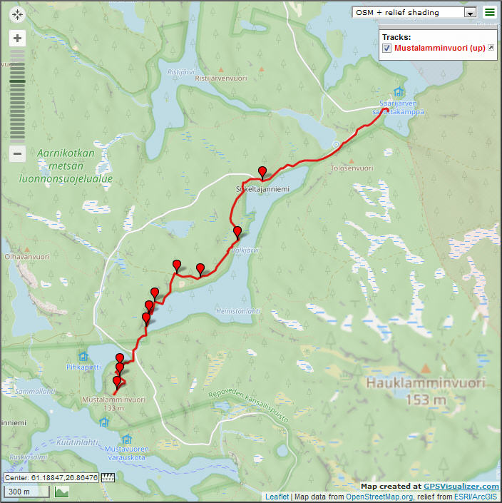 Трек от Saarijärvi до вышки Mustalamminvuori