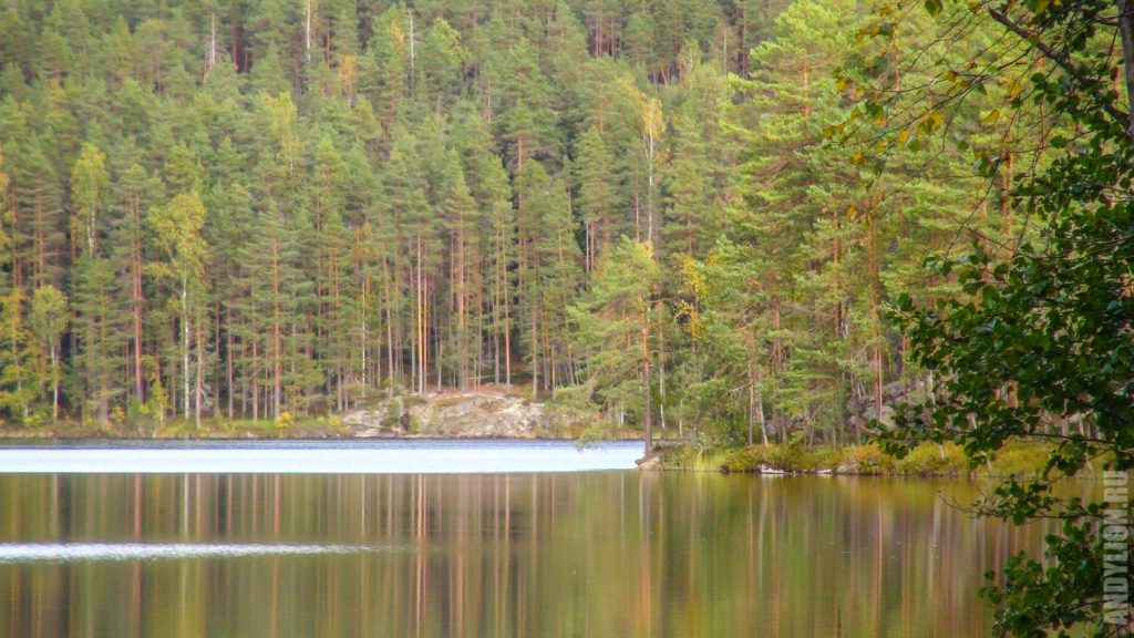 Озеро Valkjärvi в национальном парке Реповеси
