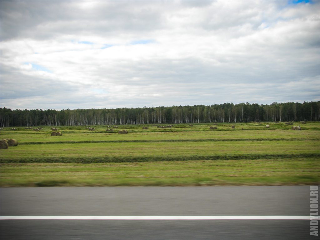Стоги сена на белорусской земле
